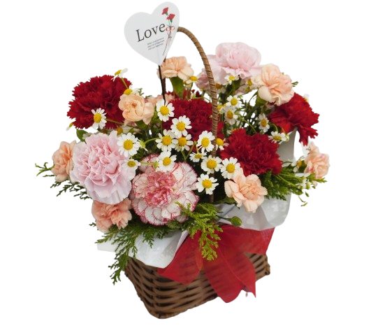 카네이션 특별할인